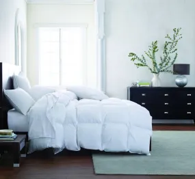 Vienna Down Comforter by Scandia Home