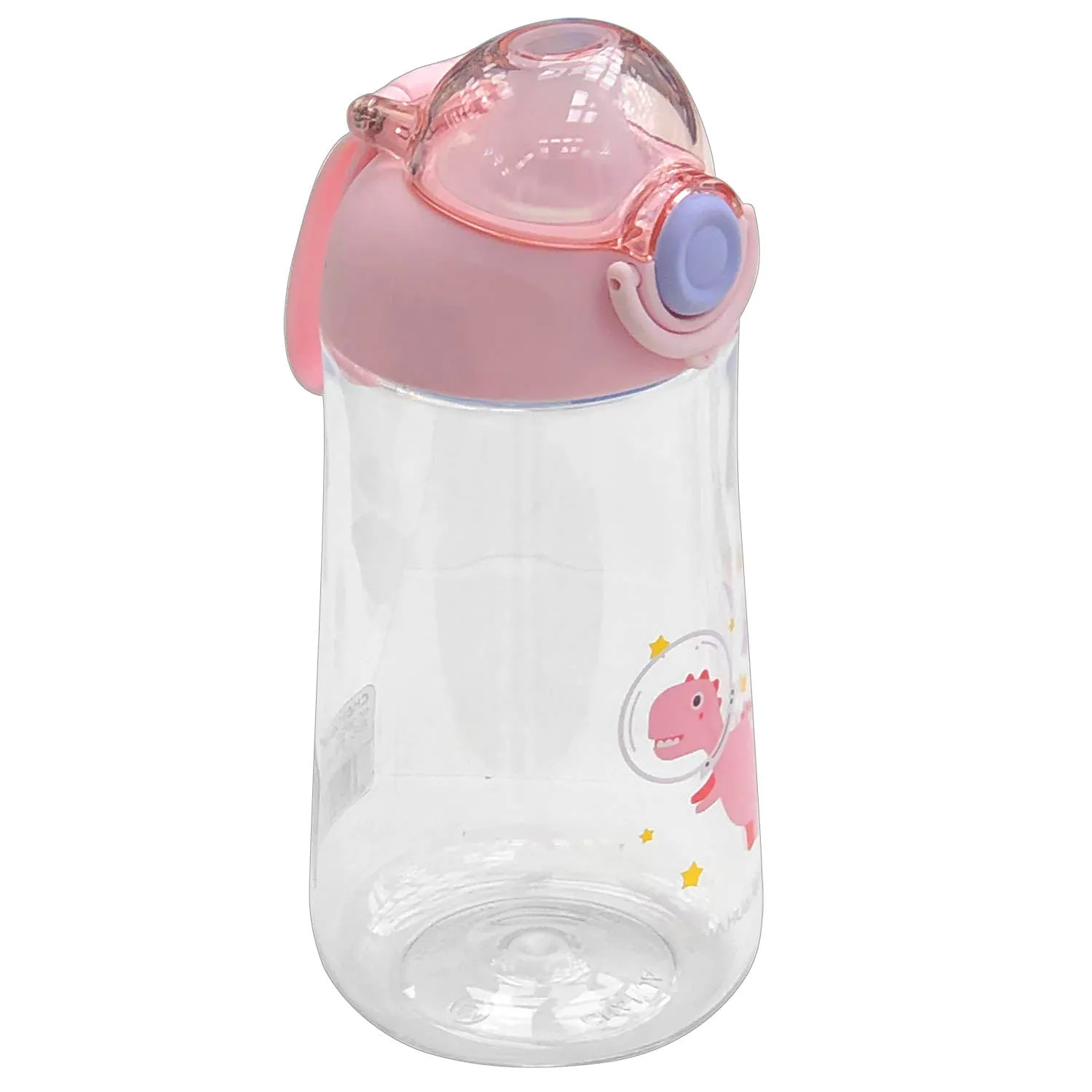 Water Bottle (530ml)